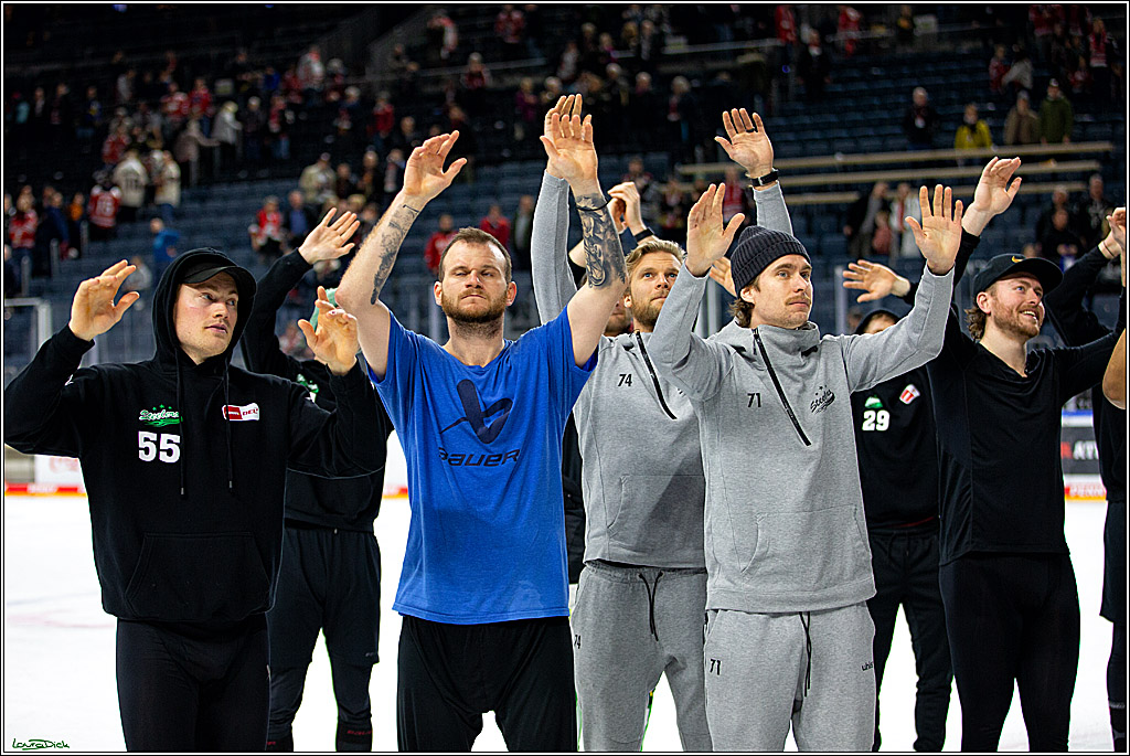 PENNY DEL; Koelner Haie-Bietigheim Steelers; Koeln, 05.03.2023